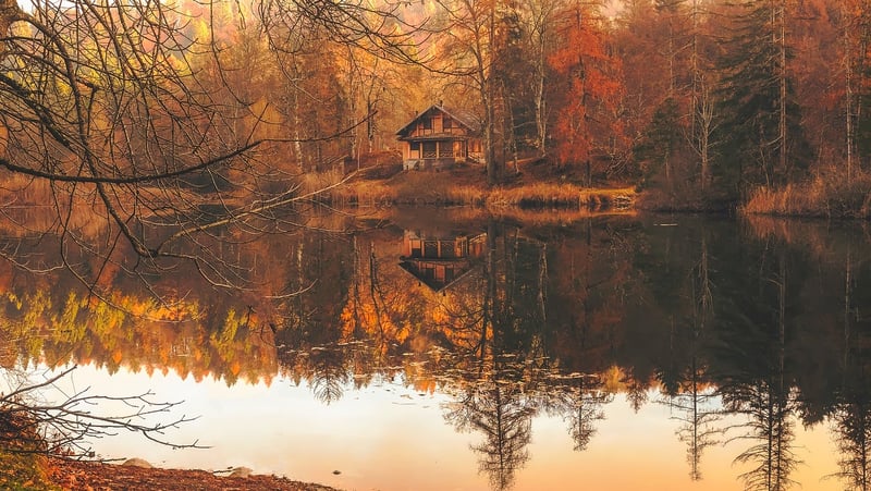 Greenleaf Tiny Cabin
